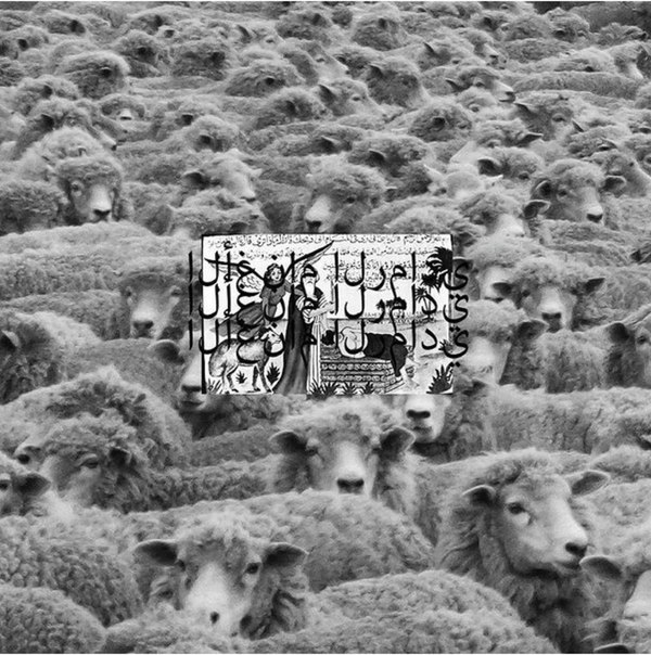 $UICIDEBOY$ – Grey Sheep II (2016)